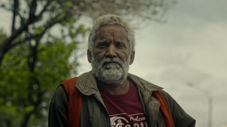 Watch Togo | Netflix Official Site