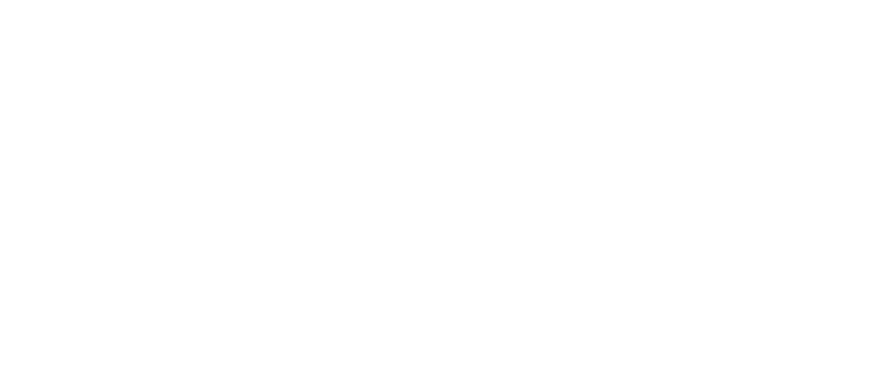 Watch the 9th precinct netflix